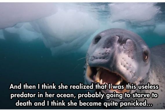 happened_photographer