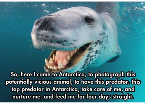 happened_photographer