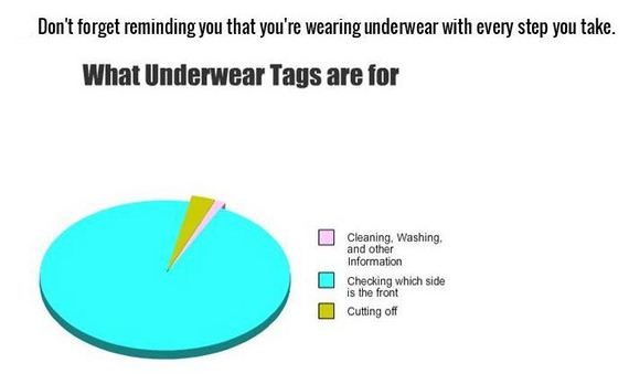 honest_and_hilarious_pie_charts