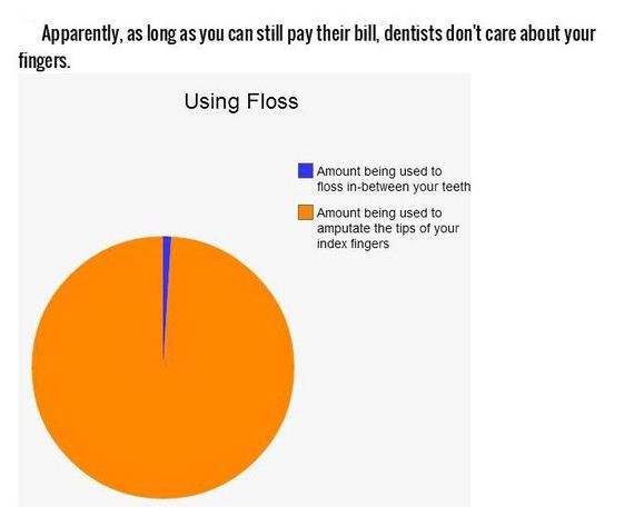 honest_and_hilarious_pie_charts