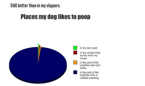 honest_and_hilarious_pie_charts