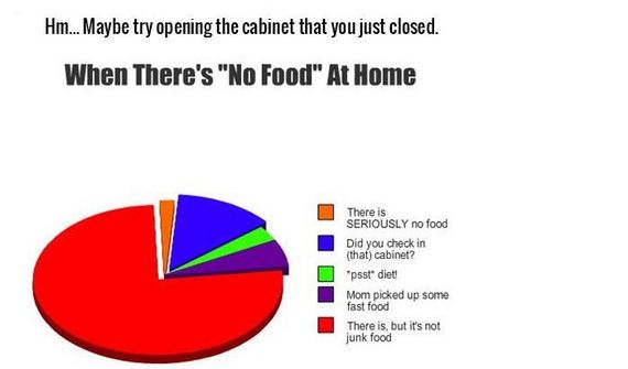 honest_and_hilarious_pie_charts