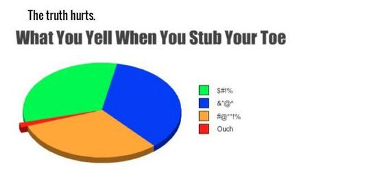 honest_and_hilarious_pie_charts