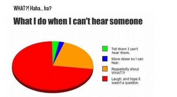 honest_and_hilarious_pie_charts