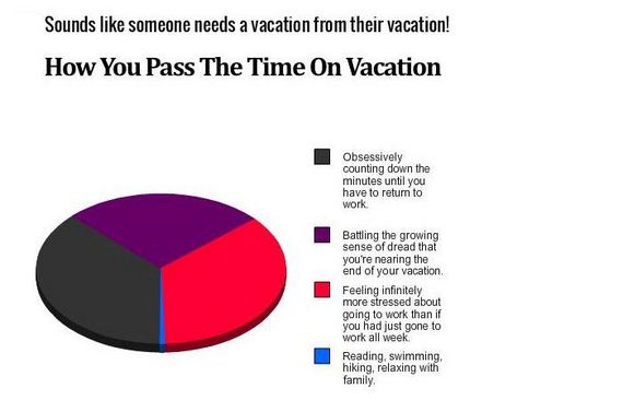 honest_and_hilarious_pie_charts