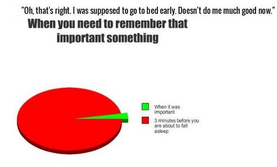 honest_and_hilarious_pie_charts