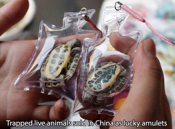 meanwhile_in_china