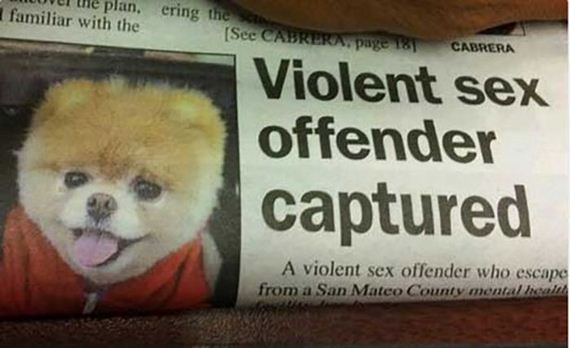 news_fails