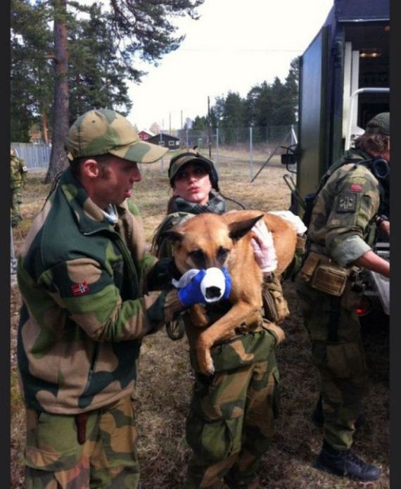 norwegian_military_girl