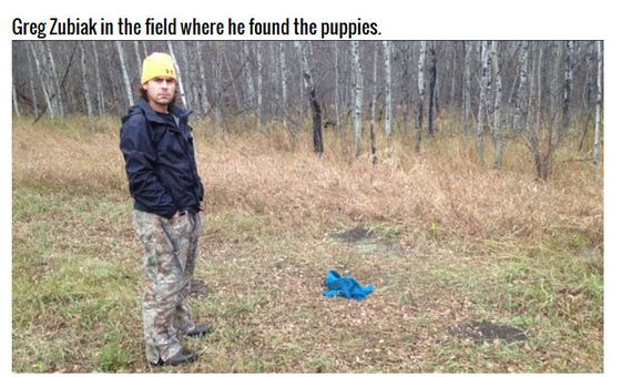 puppies_found
