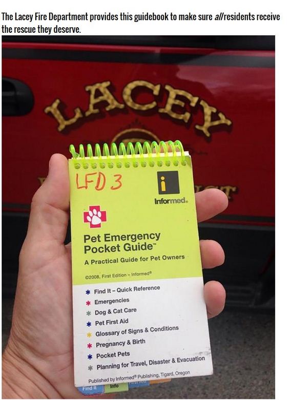 rescue_hamsters