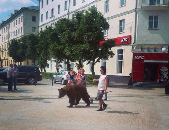 russia-bears-streets