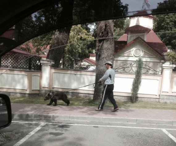 russia-bears-streets