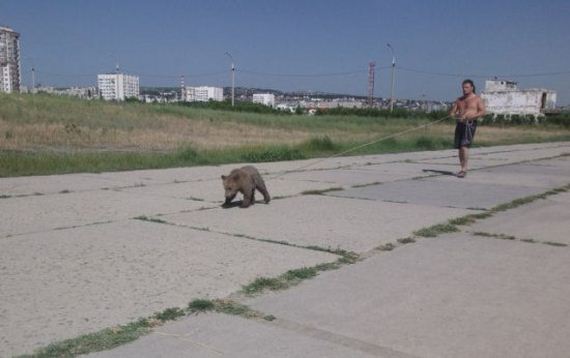 russia-bears-streets
