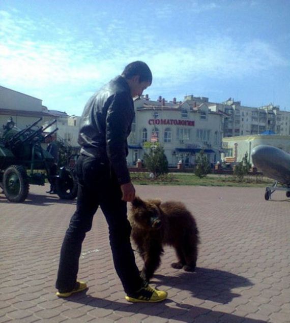 russia-bears-streets