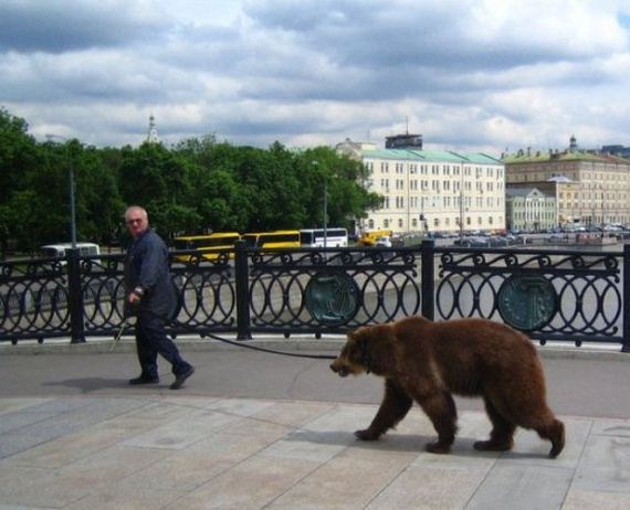russia-bears-streets
