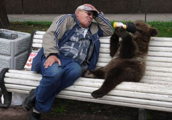 russia-bears-streets