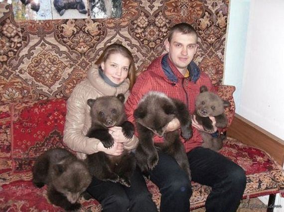 russia-bears-streets