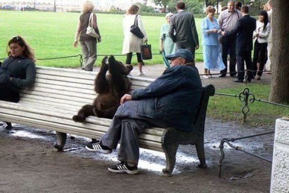 russia-bears-streets