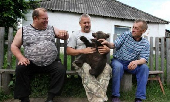 russia-bears-streets