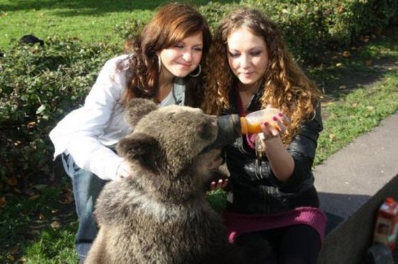 russia-bears-streets