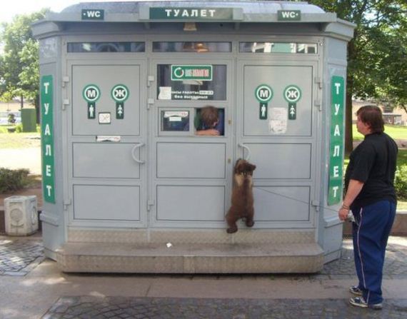 russia-bears-streets