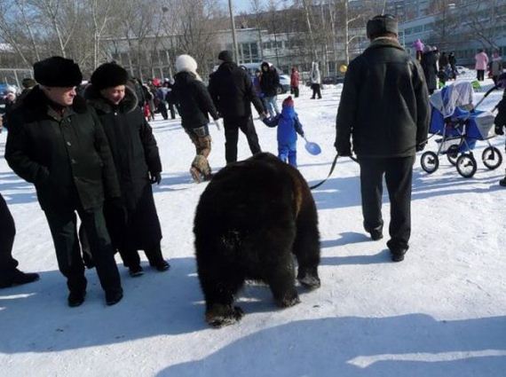 russia-bears-streets