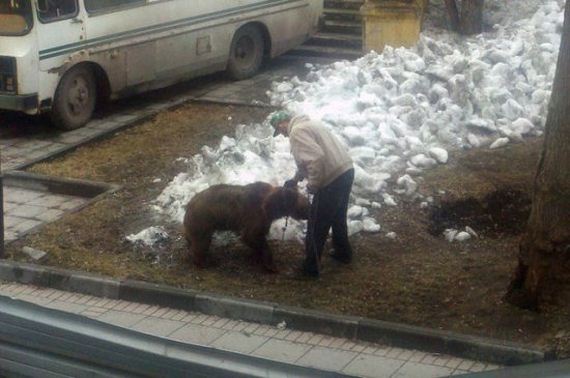 russia-bears-streets