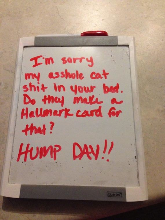 sorry-notes