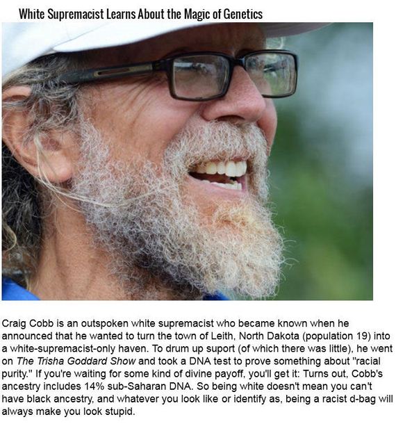 stupid_news_stories