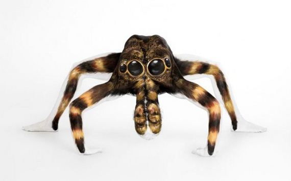 tarantula_01
