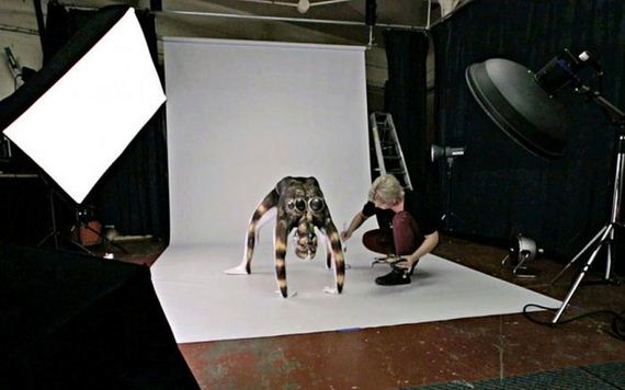 tarantula_01