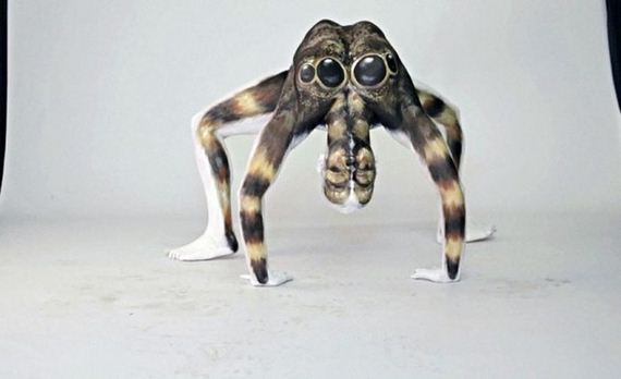 tarantula_01