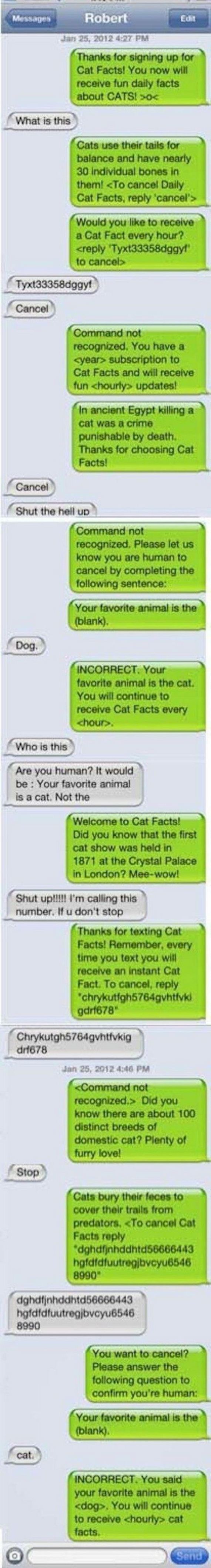 texting_01
