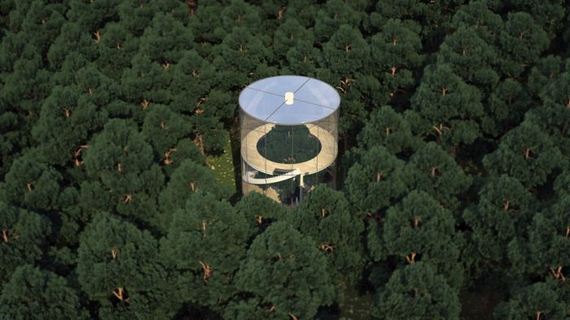 tree_house