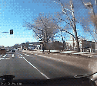 unbelievably_close_calls