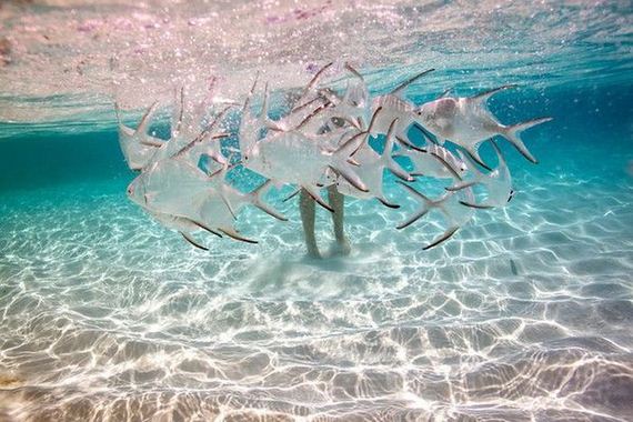 underwater_photoshoot