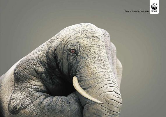 what-on-earth-PSA