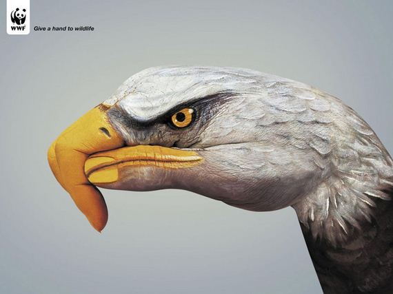what-on-earth-PSA