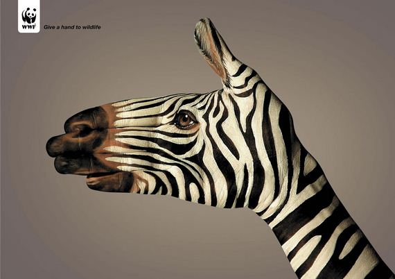 what-on-earth-PSA