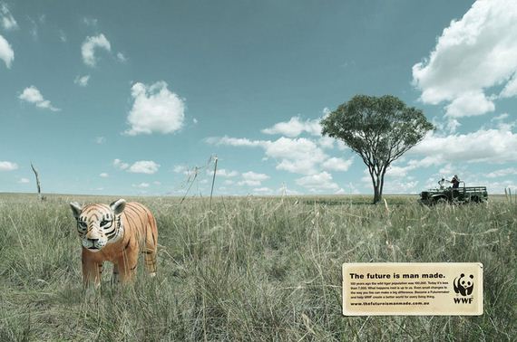 what-on-earth-PSA