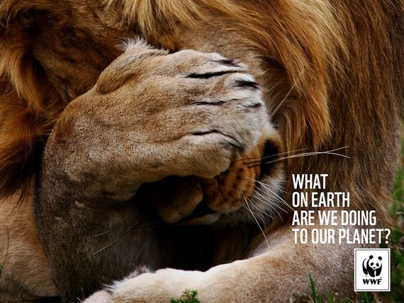 what-on-earth-PSA
