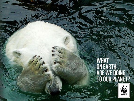 what-on-earth-PSA