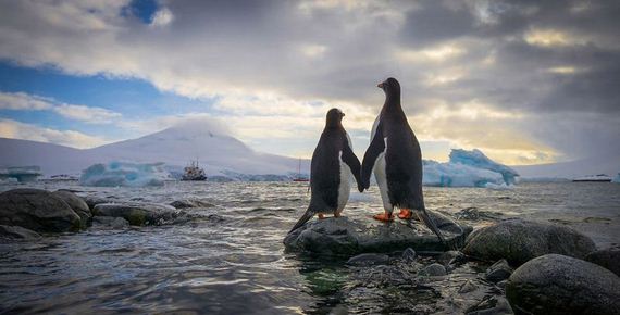 Antarctica-photo-trip