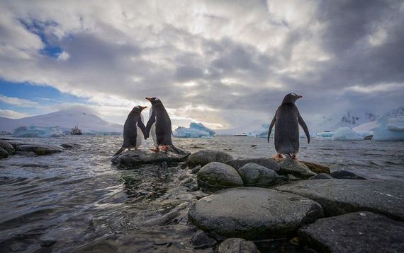 Antarctica-photo-trip