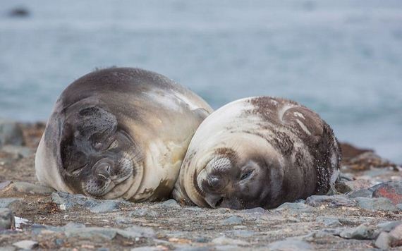 Antarctica-photo-trip