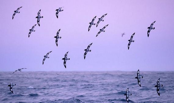 Antarctica-photo-trip