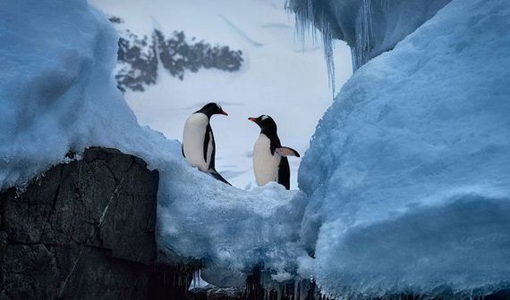 Antarctica-photo-trip
