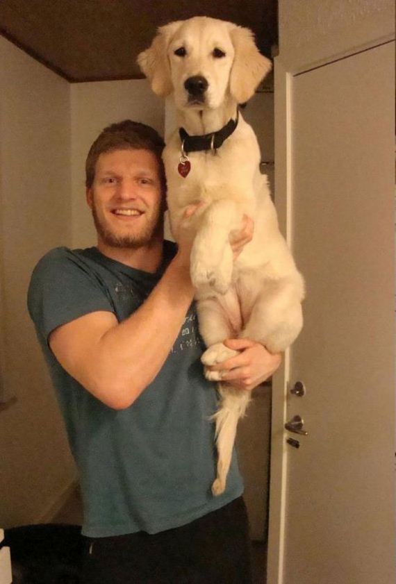Carry-Dog