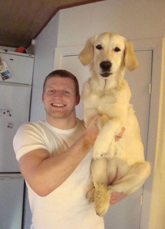Carry-Dog